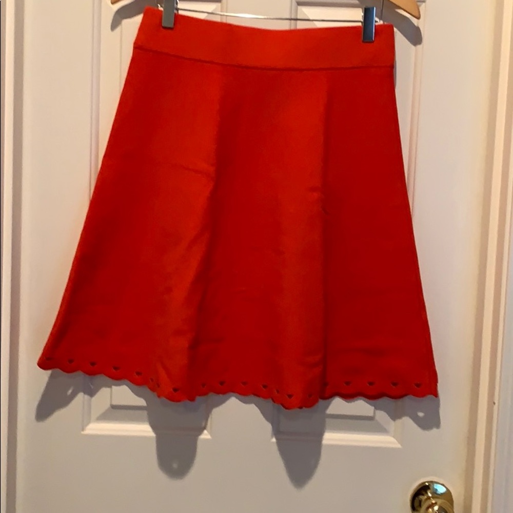 Women’s Ann Taylor Skirt